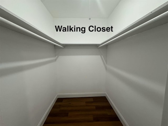 walk in closet featuring dark wood-type flooring