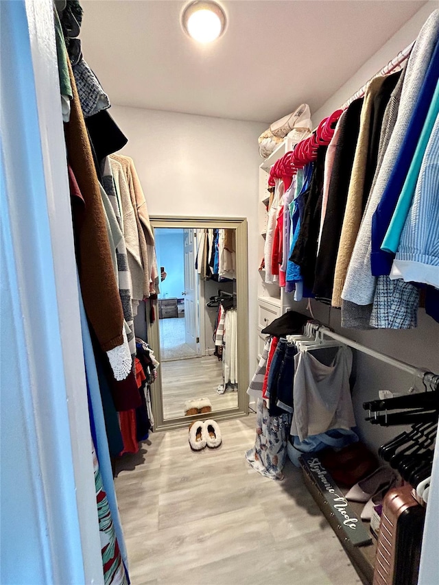 spacious closet with light wood-type flooring