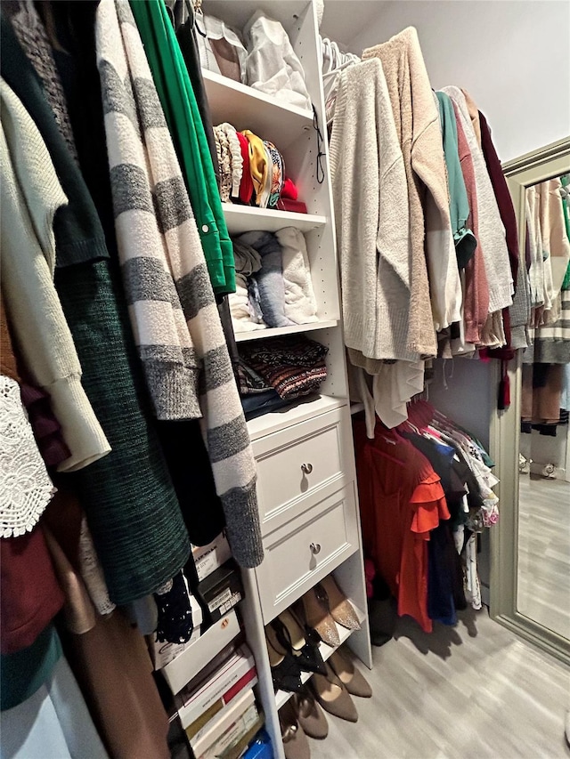 spacious closet featuring light hardwood / wood-style floors