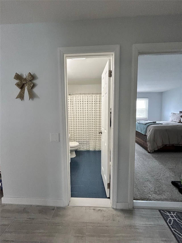 hallway featuring carpet floors