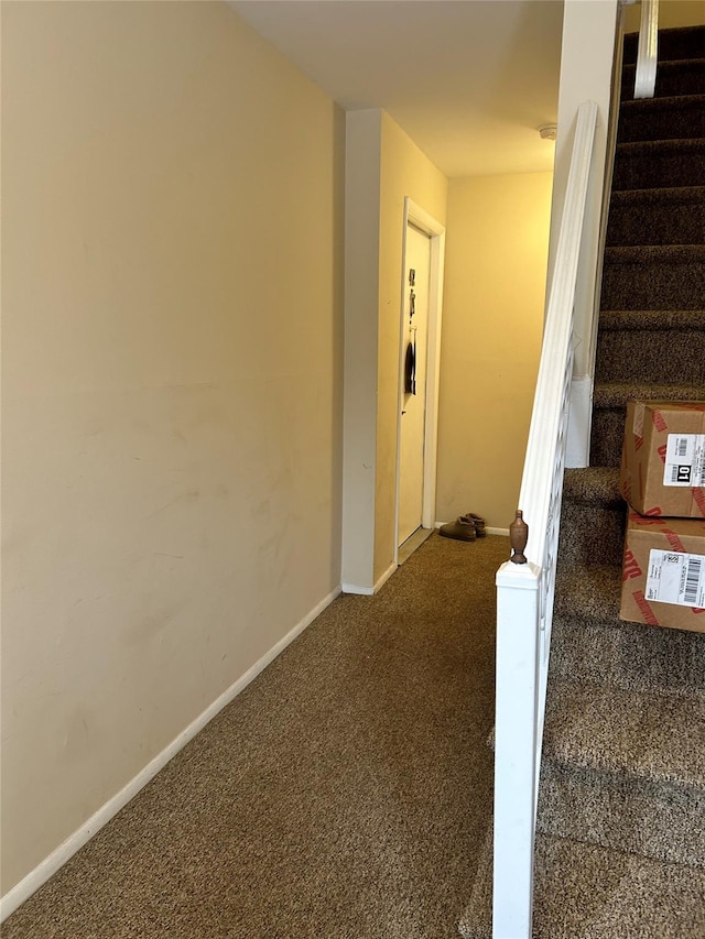 stairway with carpet flooring