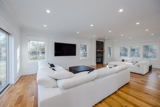 living room with a fireplace, crown molding, and light hardwood / wood-style flooring