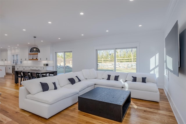 living room featuring crown molding and light hardwood / wood-style flooring