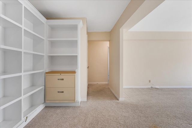 interior space with light colored carpet