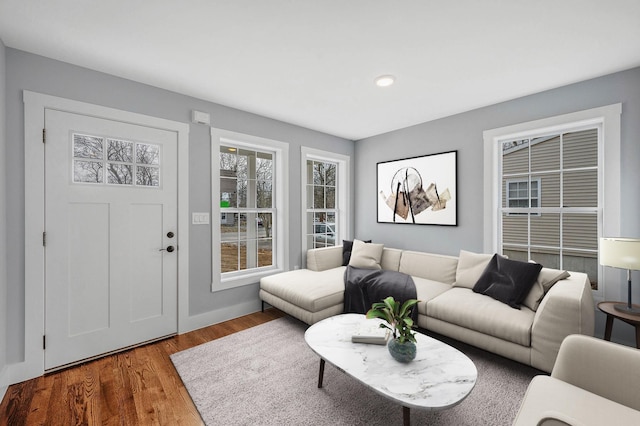 living room with hardwood / wood-style floors