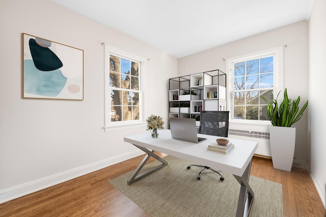 office space featuring hardwood / wood-style flooring and radiator