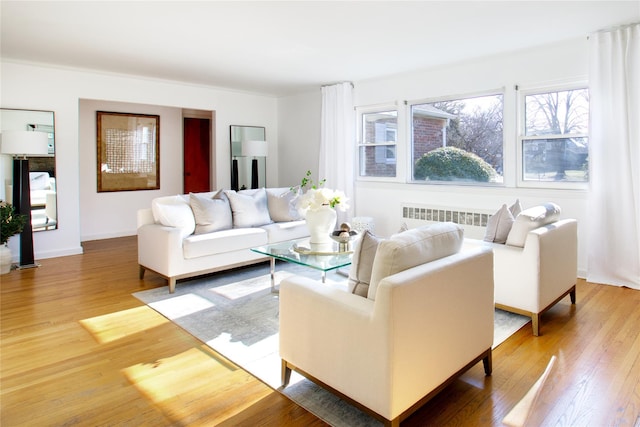 living room featuring hardwood / wood-style flooring