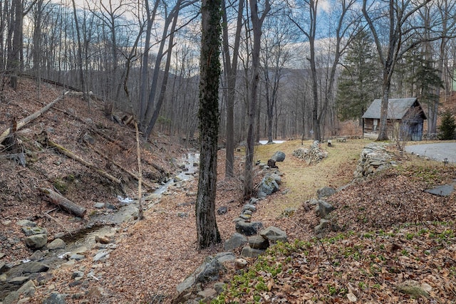 view of yard featuring an outdoor structure