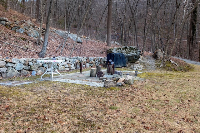 view of yard featuring a patio area