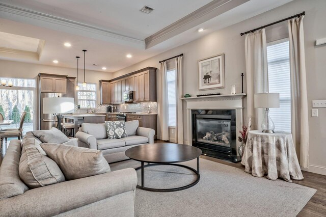 living room featuring dark wood-type flooring, a raised ceiling, and a premium fireplace