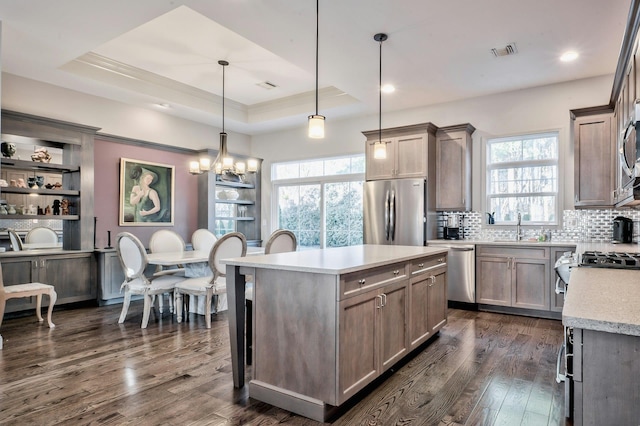 kitchen featuring decorative light fixtures, dark hardwood / wood-style floors, a raised ceiling, and appliances with stainless steel finishes