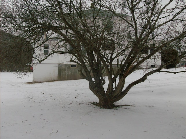 view of yard covered in snow