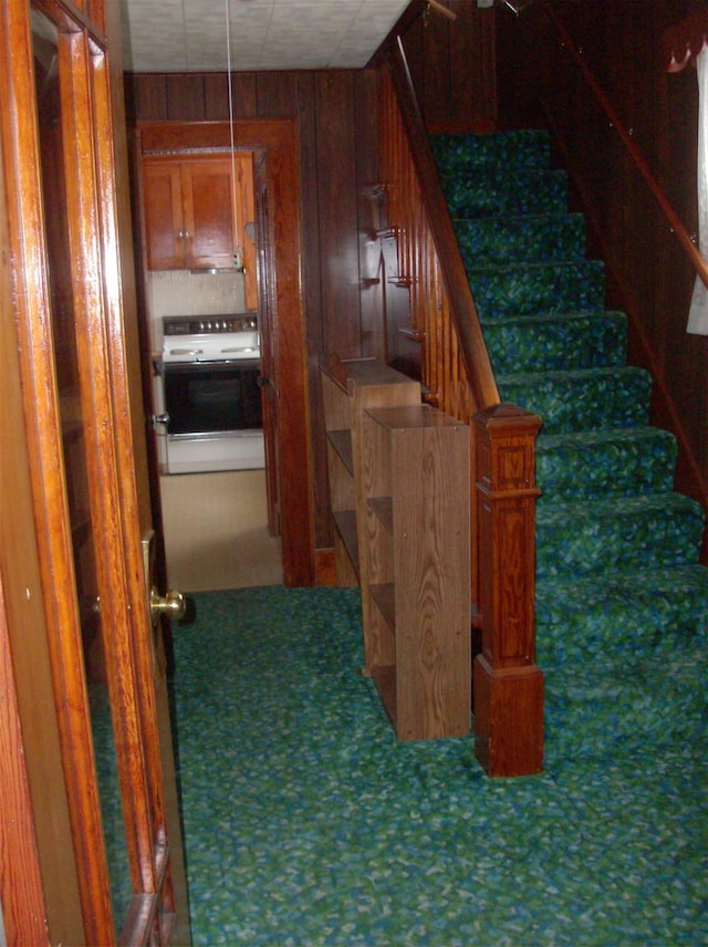 stairway featuring carpet floors and wooden walls