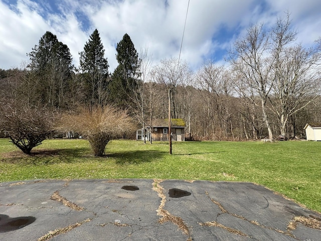 23 Riverside Dr, Roscoe, NY 12776 - view of yard with a forest view and an outbuilding