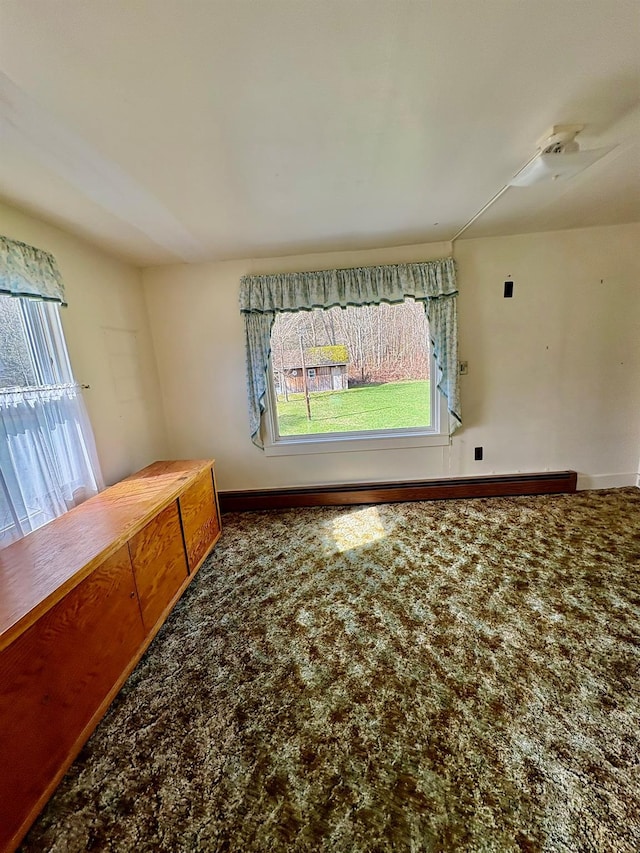 23 Riverside Dr, Roscoe, NY 12776 - empty room with carpet, baseboards, and a wealth of natural light