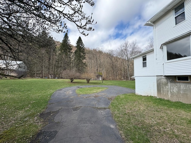 23 Riverside Dr, Roscoe, NY 12776 - view of yard