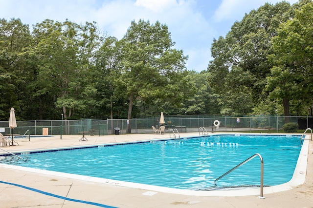 view of swimming pool with a patio