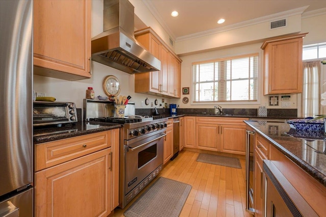 kitchen featuring exhaust hood, stainless steel appliances, dark stone counters, a wealth of natural light, and sink