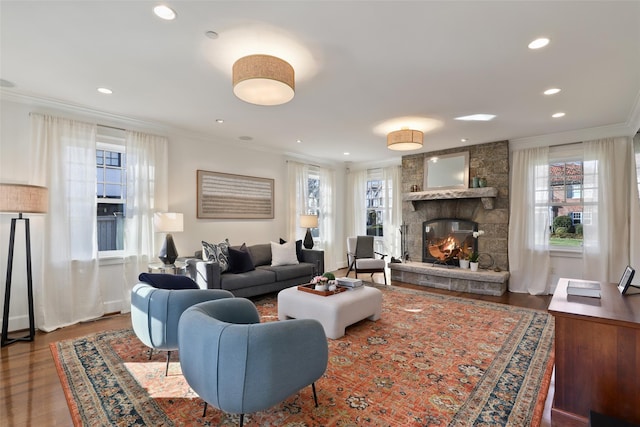 living room with ornamental molding, a stone fireplace, and a wealth of natural light