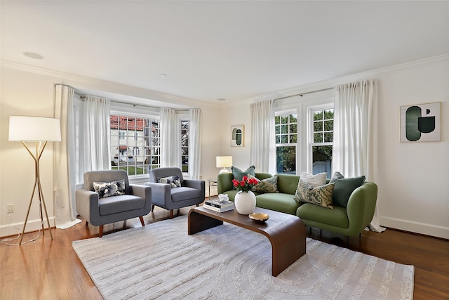 living room with ornamental molding and wood-type flooring