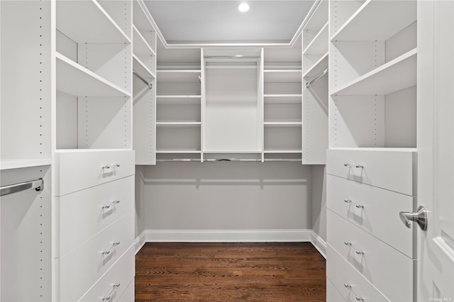 spacious closet with dark hardwood / wood-style floors