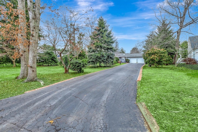 view of front of property featuring a front lawn and a garage