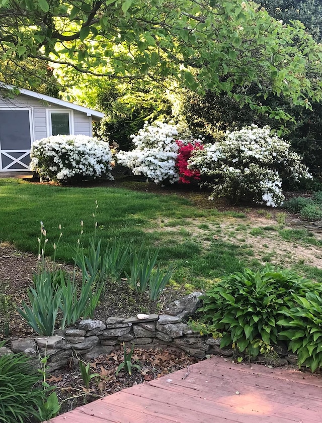 view of yard featuring a wooden deck