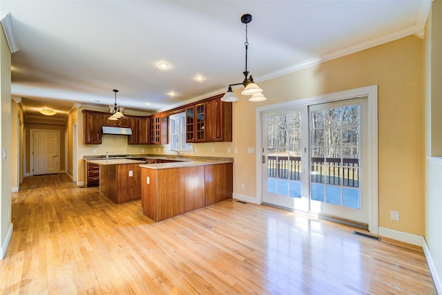 kitchen with light wood-type flooring, crown molding, kitchen peninsula, and pendant lighting