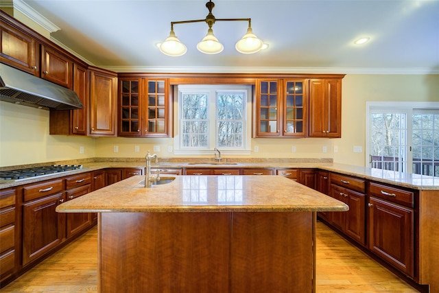 kitchen featuring crown molding, a kitchen island with sink, hanging light fixtures, and sink