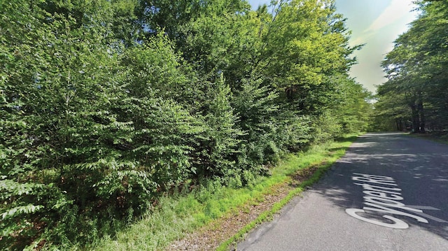 Cypert Rd, Fallsburg NY, 12788 land for sale