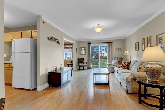 living room with crown molding and light hardwood / wood-style flooring