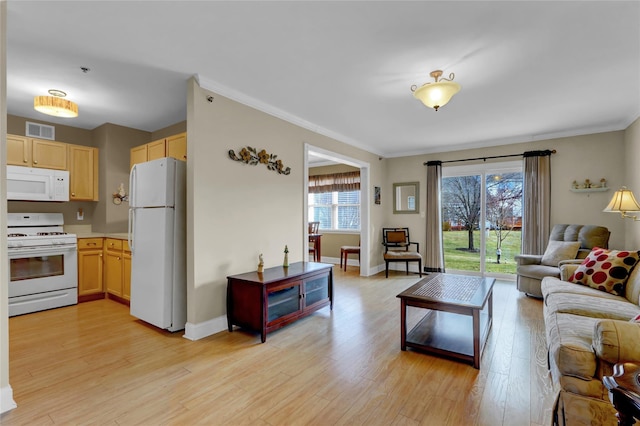 living room with ornamental molding and light hardwood / wood-style floors