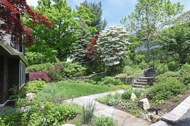 view of yard featuring stairs