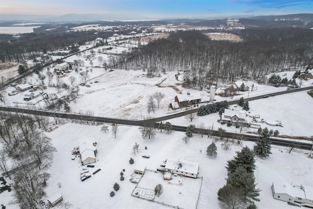 view of snowy aerial view