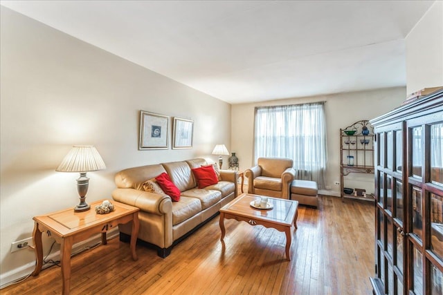 living room featuring light hardwood / wood-style flooring