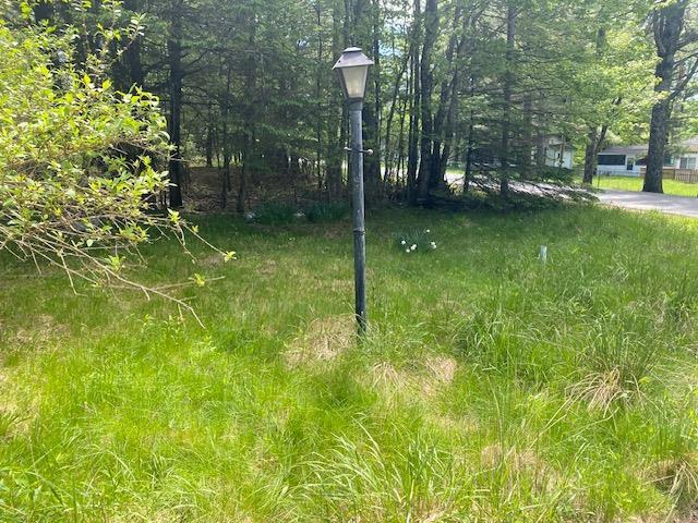 83 Mattison Rd, White Lake, NY 12720