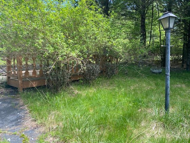 83 Mattison Rd, White Lake, NY 12720