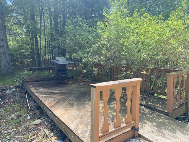 83 Mattison Rd, White Lake, NY 12720