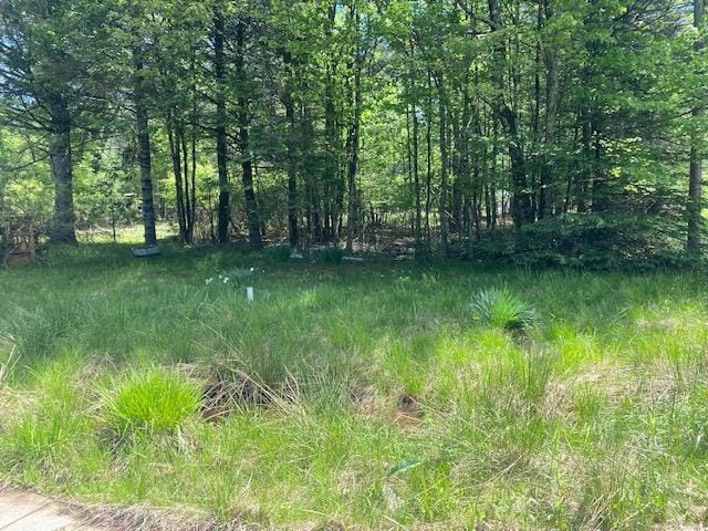 83 Mattison Rd, White Lake, NY 12720