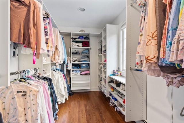 spacious closet featuring dark hardwood / wood-style floors