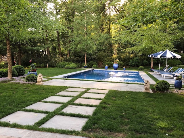 view of swimming pool with a yard and a patio