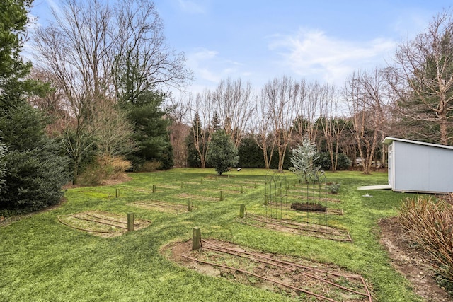 view of yard with a rural view