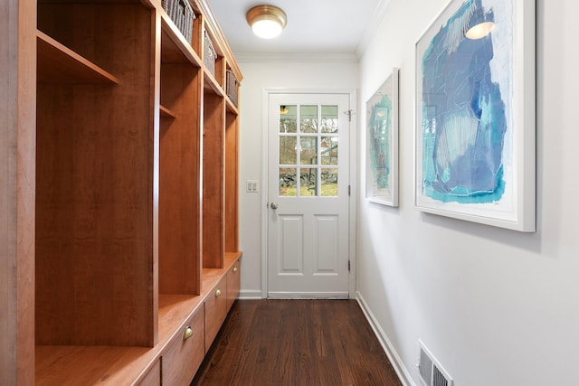 mudroom featuring dark wood-type flooring and crown molding