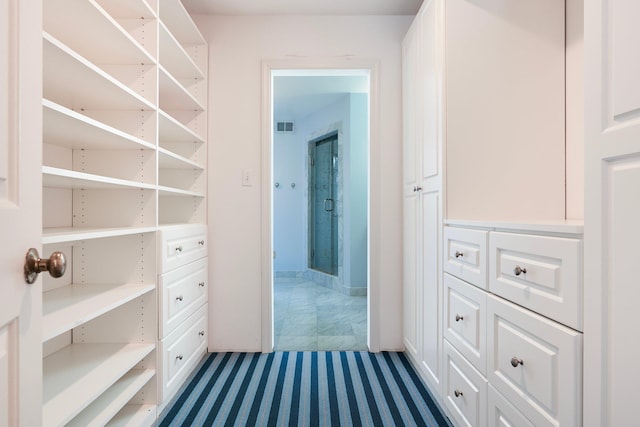 view of walk in closet