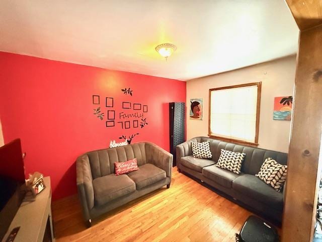 living room with hardwood / wood-style flooring