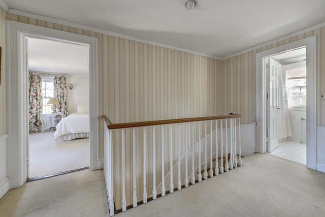 hall featuring ornamental molding and light carpet