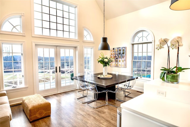 dining room featuring hardwood / wood-style flooring, a mountain view, french doors, and high vaulted ceiling