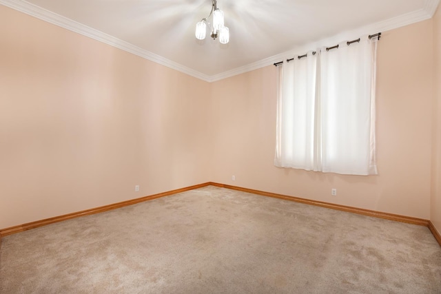 unfurnished room featuring crown molding and carpet floors