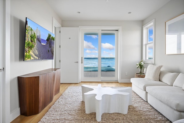 living room with light hardwood / wood-style floors