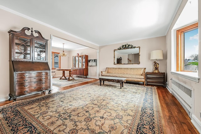 living room with an inviting chandelier, radiator, crown molding, and dark wood-type flooring